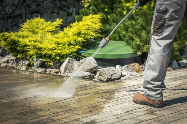 Animal Enclosure Cleaning in Horn Lake, MS