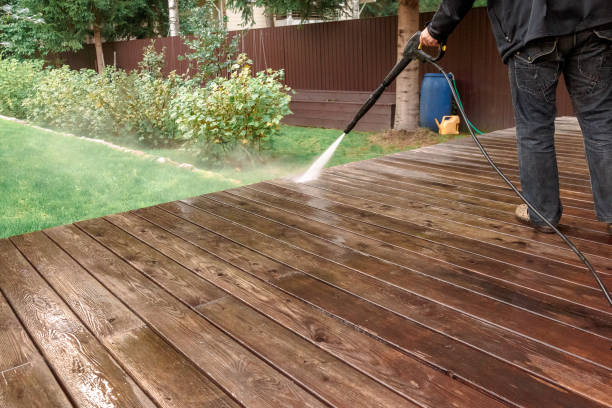 Best Sidewalk and Walkway Cleaning  in Horn Lake, MS
